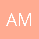 A1 Project Manager