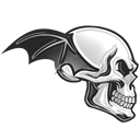 A7X Flap