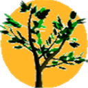 Arbaro