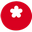 Automato