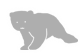 Bear File Converter