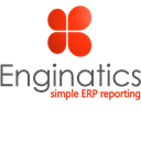 Blitz Report™ from Enginatics