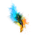 Bloom Image Viewer