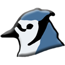 BlueJ