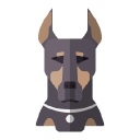 Cerber Security