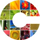 CryptoPhoto