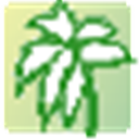 Database Oasis