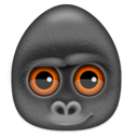 Debookee