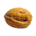 Dokan