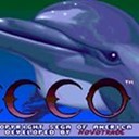 Ecco the Dolphin