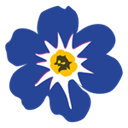 Forget Me Not