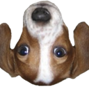 FrankerFaceZ
