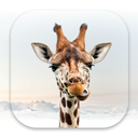 Girafi