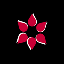 Image Pattern Designer