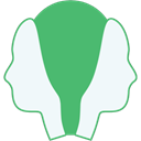JanusVR