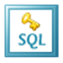 Kernel for SQL Password Recovery