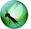 locust
