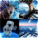 MOSAIC 3D Wallpapers