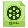 MP4 Video Converter