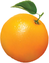 Orange Manager