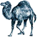 Perl