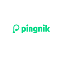 Pingnik