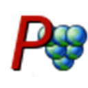 Pinot