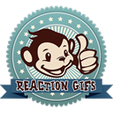 Reaction GIFs