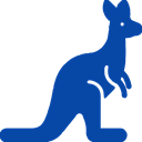 Roobrick