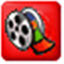 Saleen Video Manager