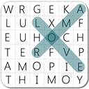 Secret Word Search