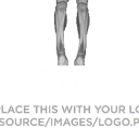 Shins