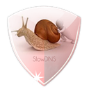 SlowDNS
