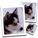 SmillaEnlarger