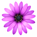 TextMate