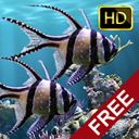The real aquarium HD