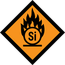 THE SILICOIN