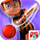 Ultimate Cricket Tournament