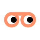 UserLook Recorder