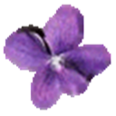 Violet UML Editor
