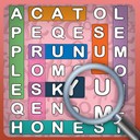 Word Search