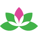 Yoga Studio